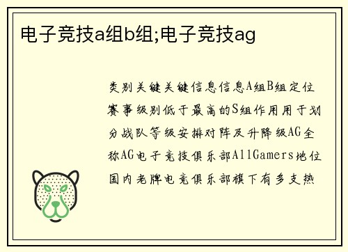 电子竞技a组b组;电子竞技ag